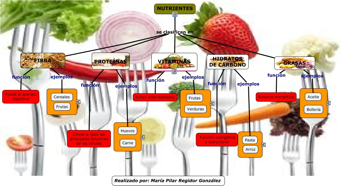 los-nutrientes